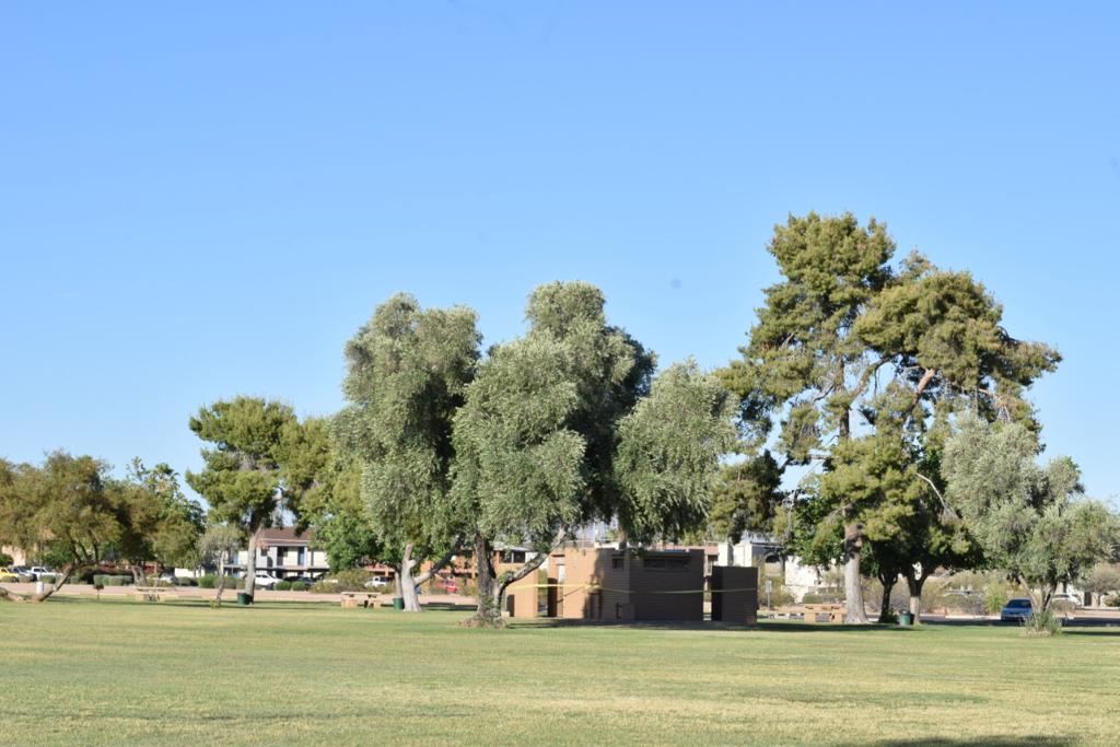 Paradise Valley Park Dog Park dog park