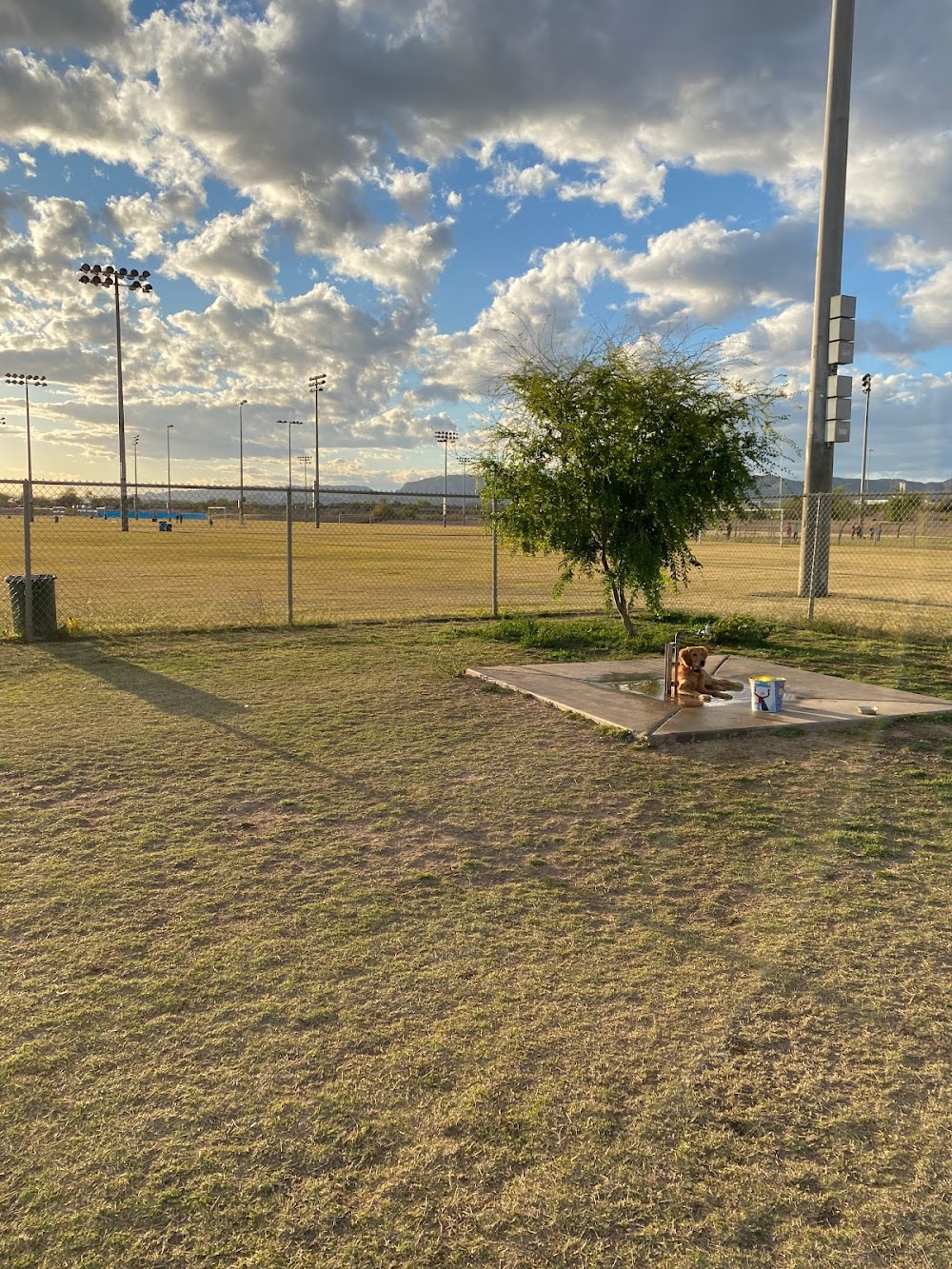 RJ Dog Park at Pecos Park dog park