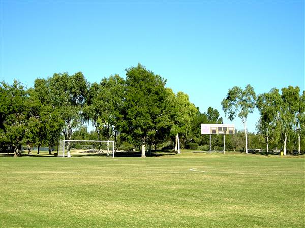 Rose Mofford Sports Complex Dog Park dog park