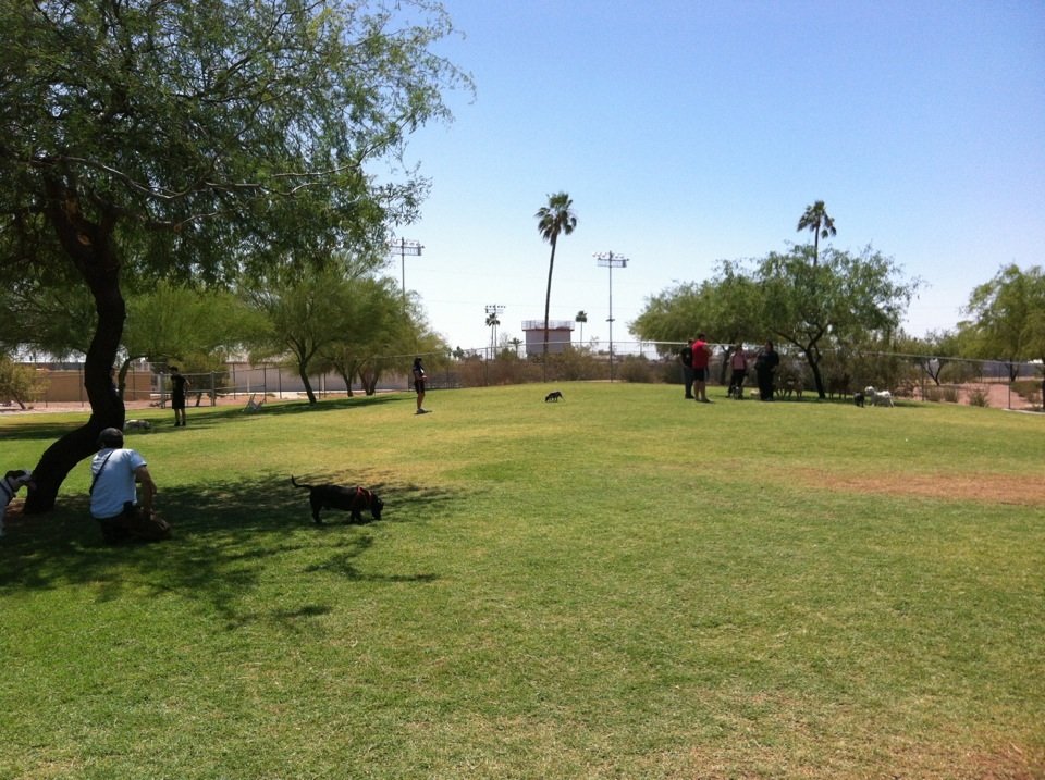 Steele Indian School Park Dog Park dog park